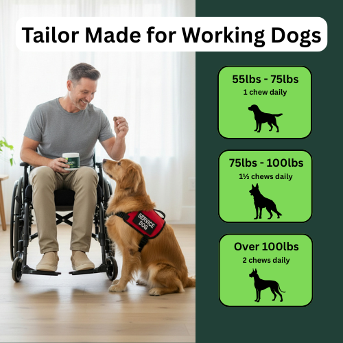 Working Years Joint Support