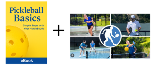 FREE Video Training Series + Guide